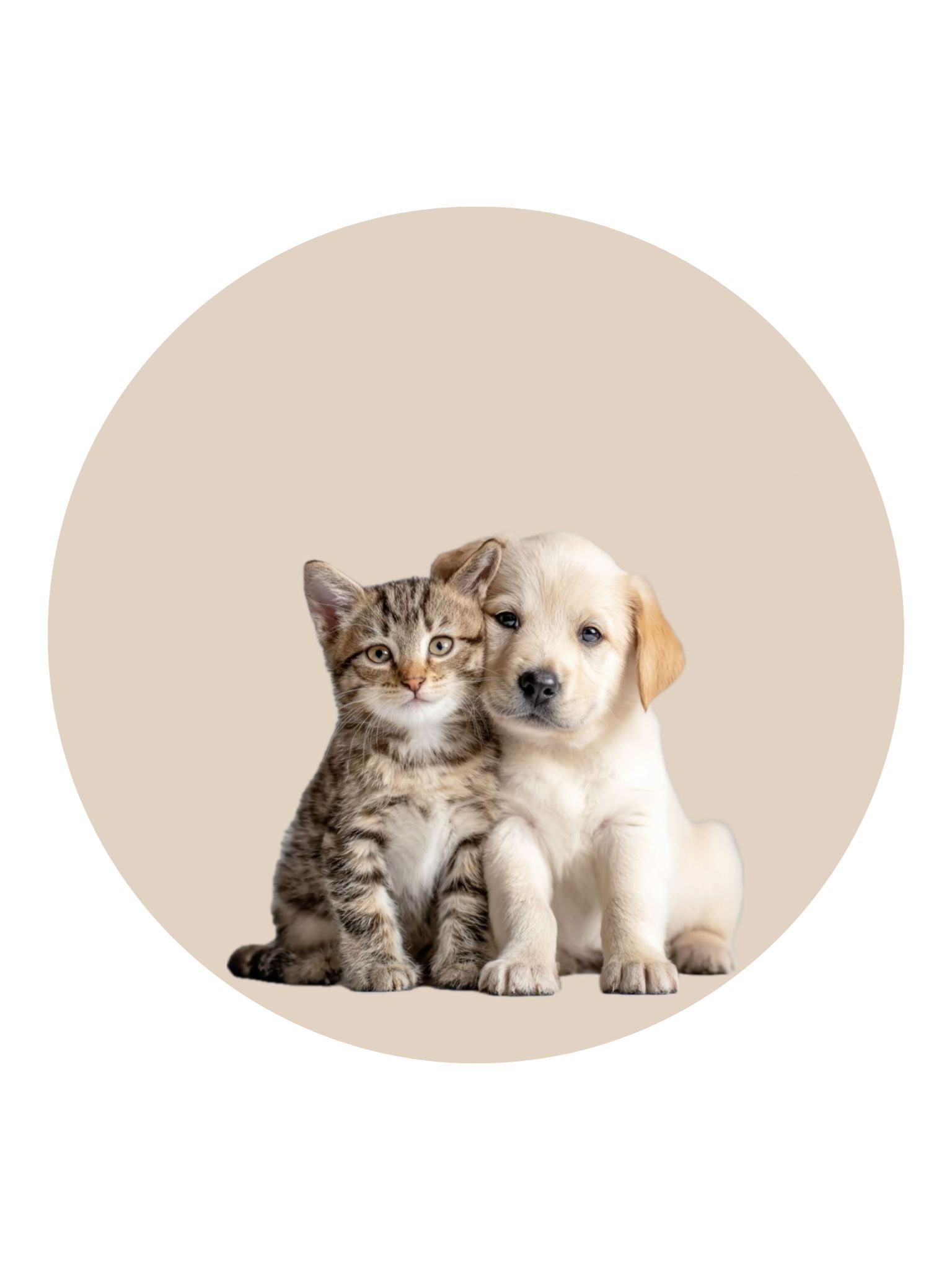 Pet Owners Acessories