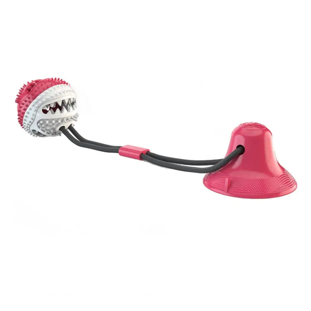 Durable Chew & Treat Dispensing Toy