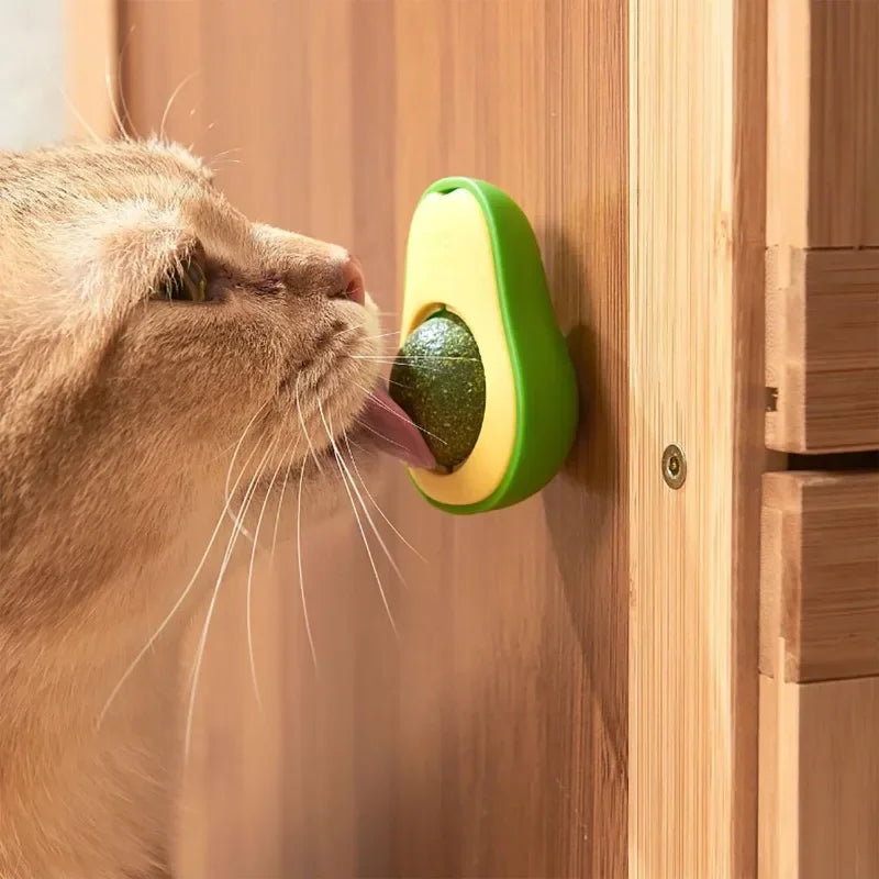 Interactive Catnip Chew & Bite Toy for Cats