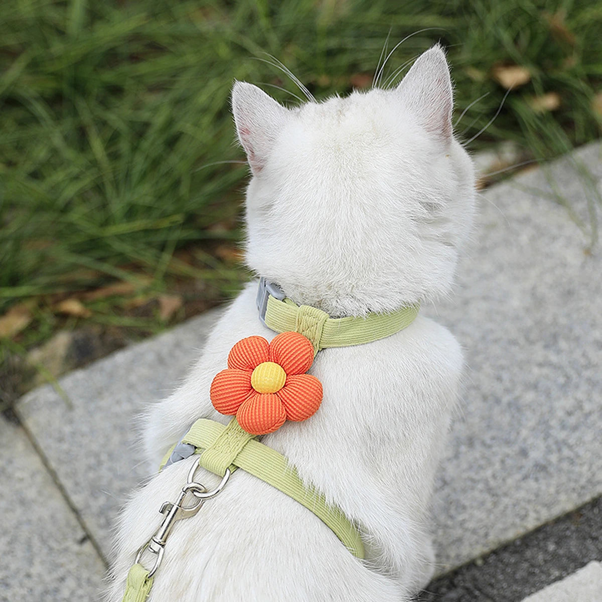 Dog/Cat Adjustable Harness and Leash Set