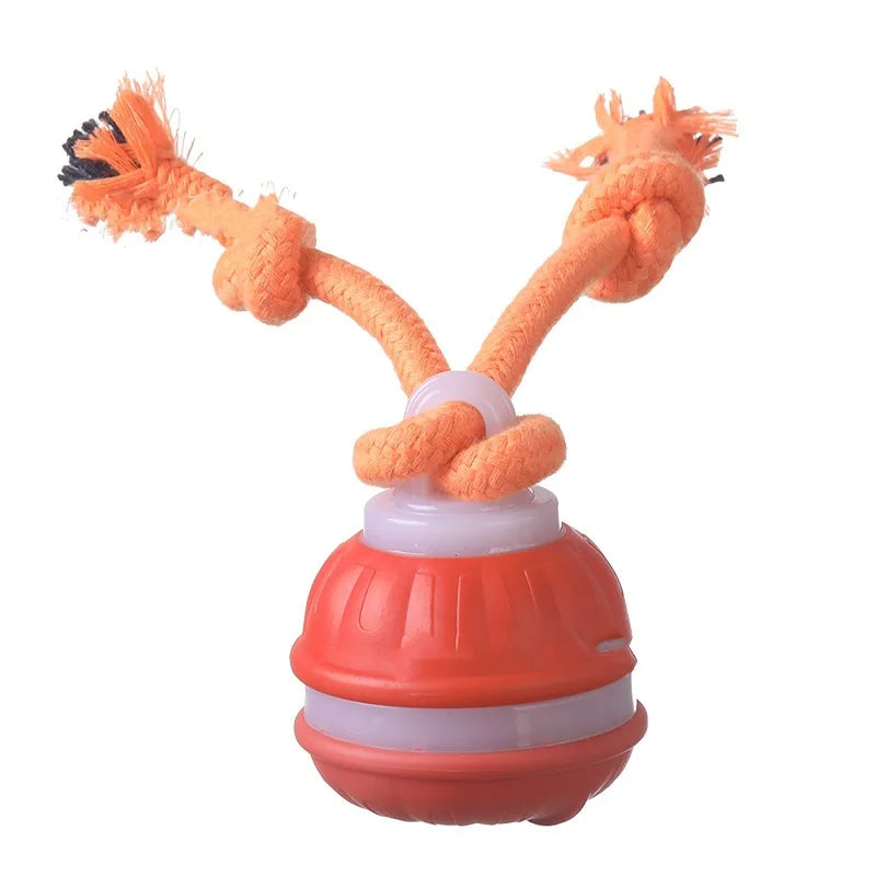 Dog Interactive Motion Activate Rolling Ball