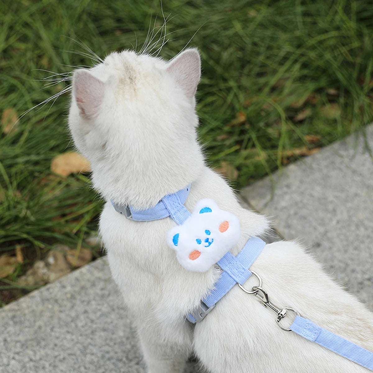 Dog/Cat Adjustable Harness and Leash Set