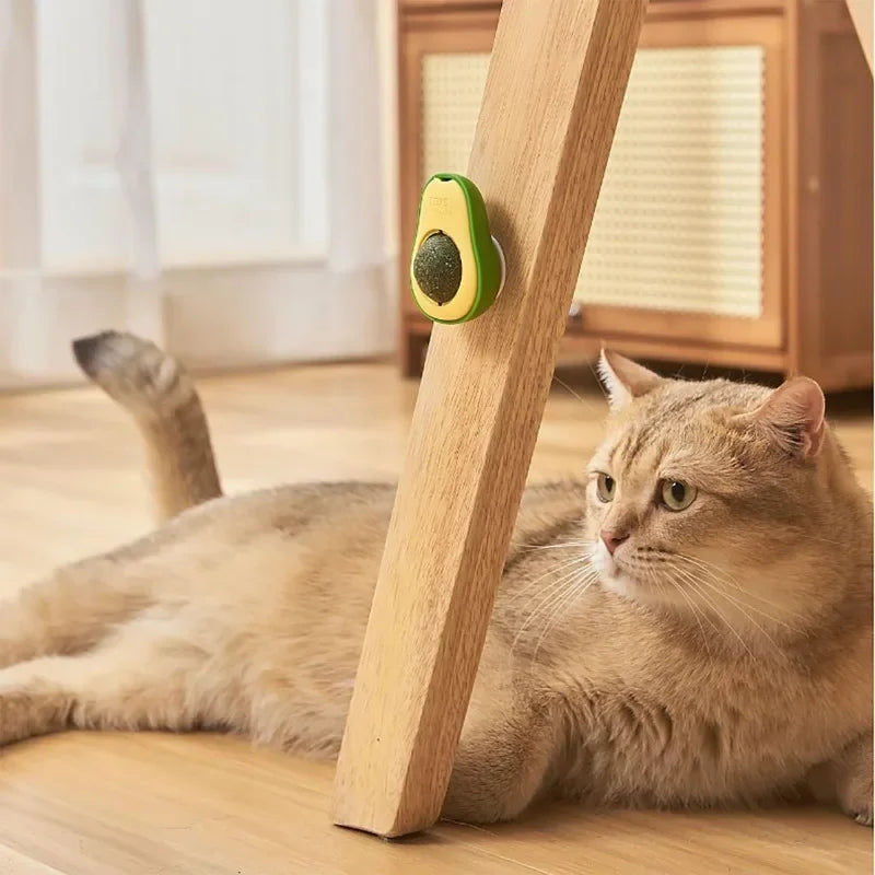 Interactive Catnip Chew & Bite Toy for Cats