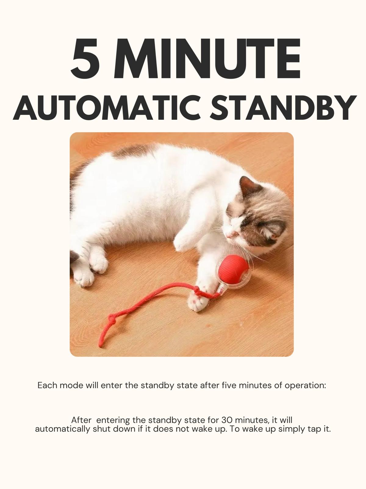 Interactive Motion Sensor Cat Toy Ball with Faux Tail