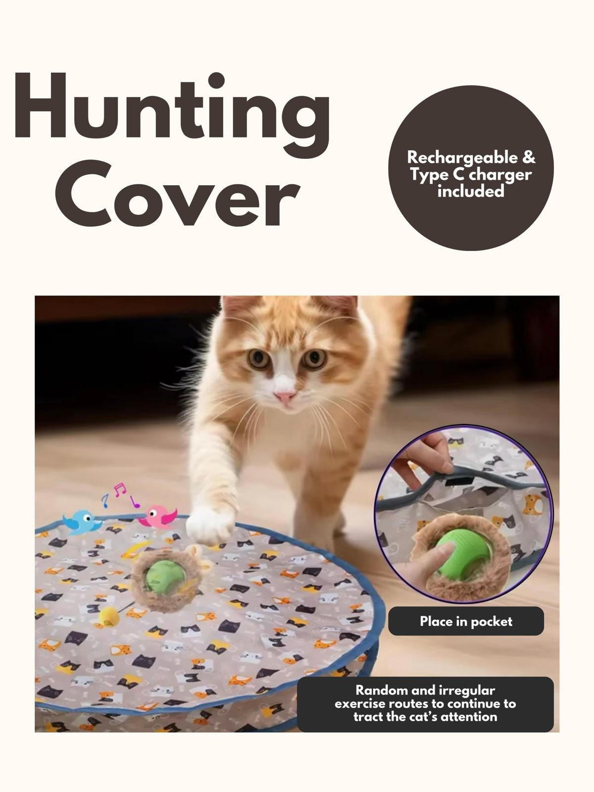 Cat interactive hunt ball and cover