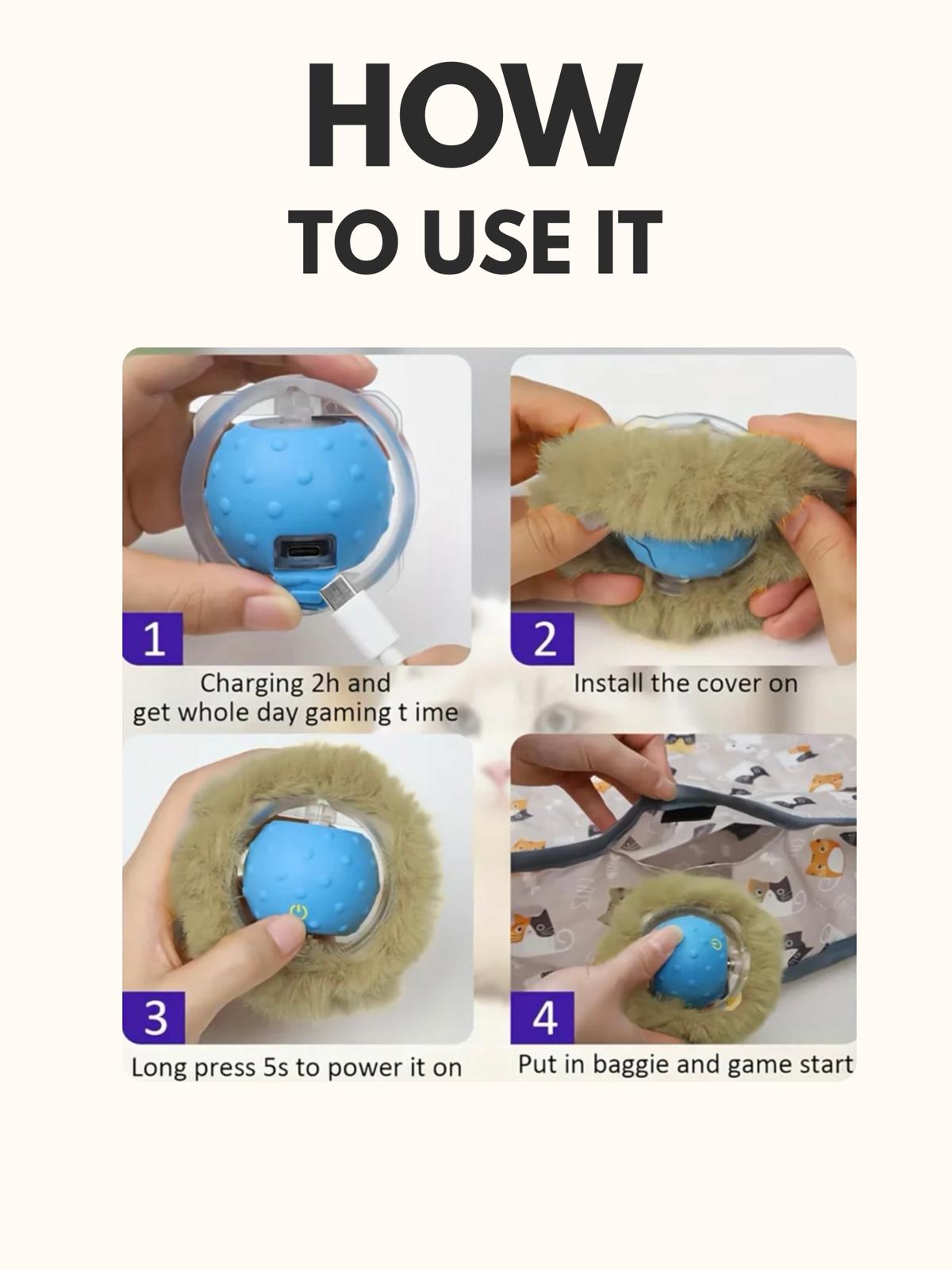 Cat interactive hunt ball and cover