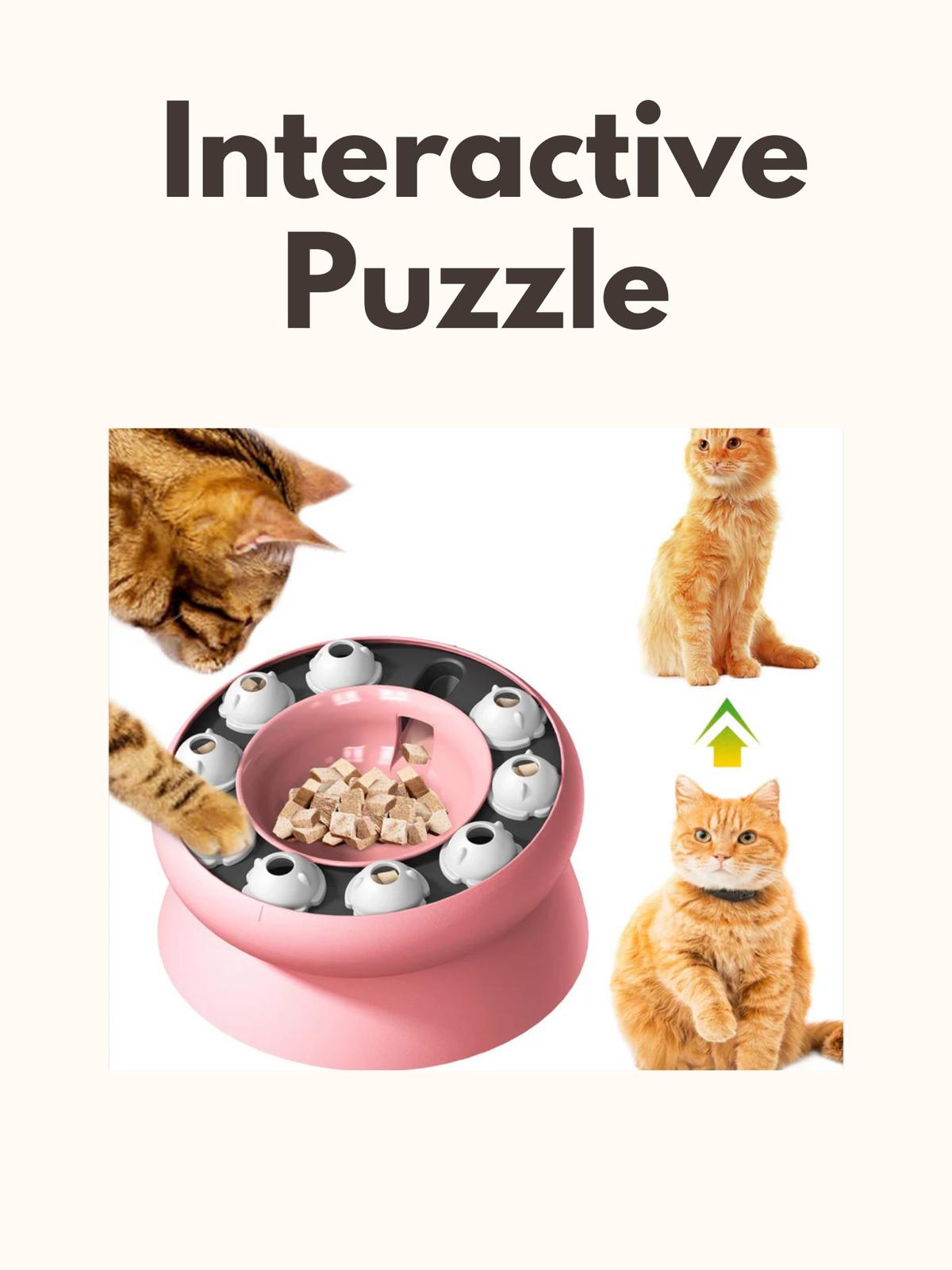 Slow Feeder Puzzle Cat Bowl