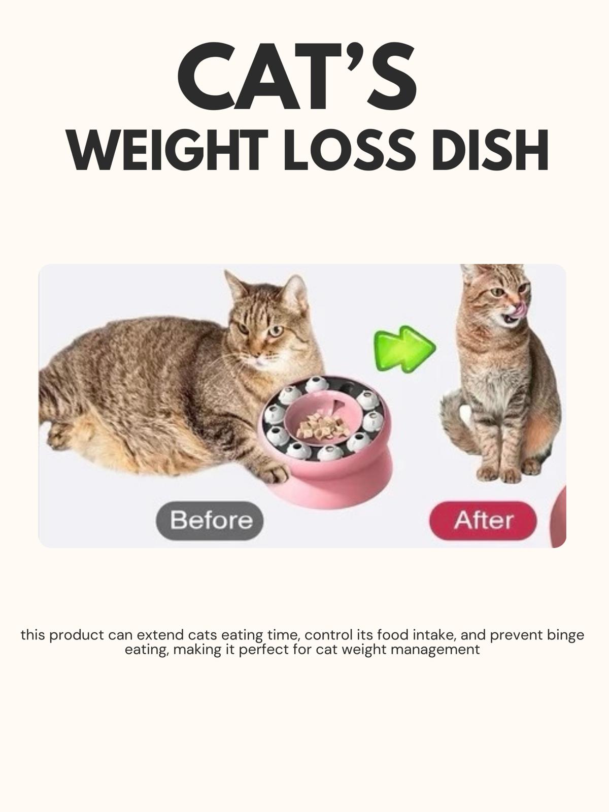 Slow Feeder Puzzle Cat Bowl