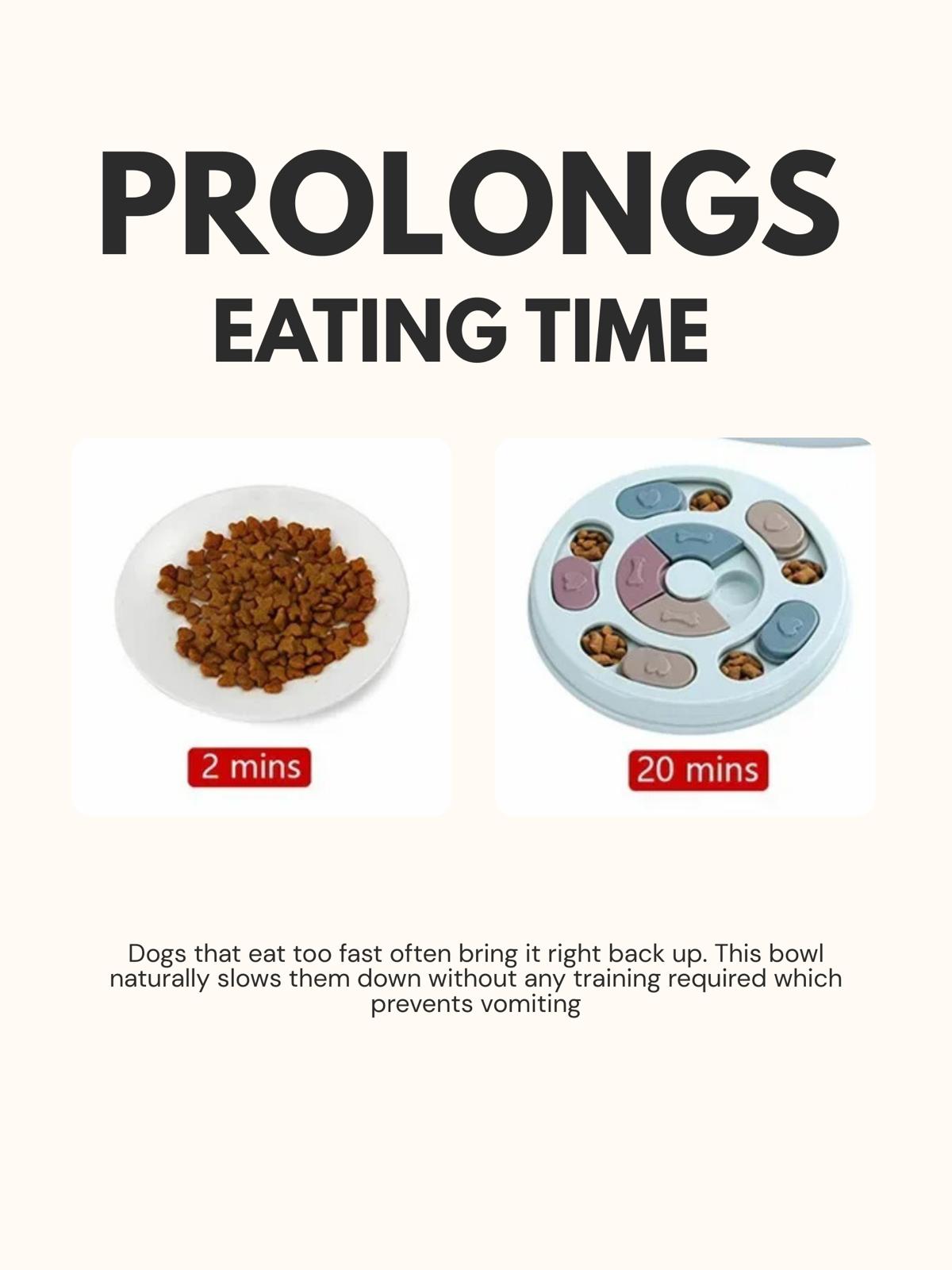 Dog Interactive Educational Feeding Toy