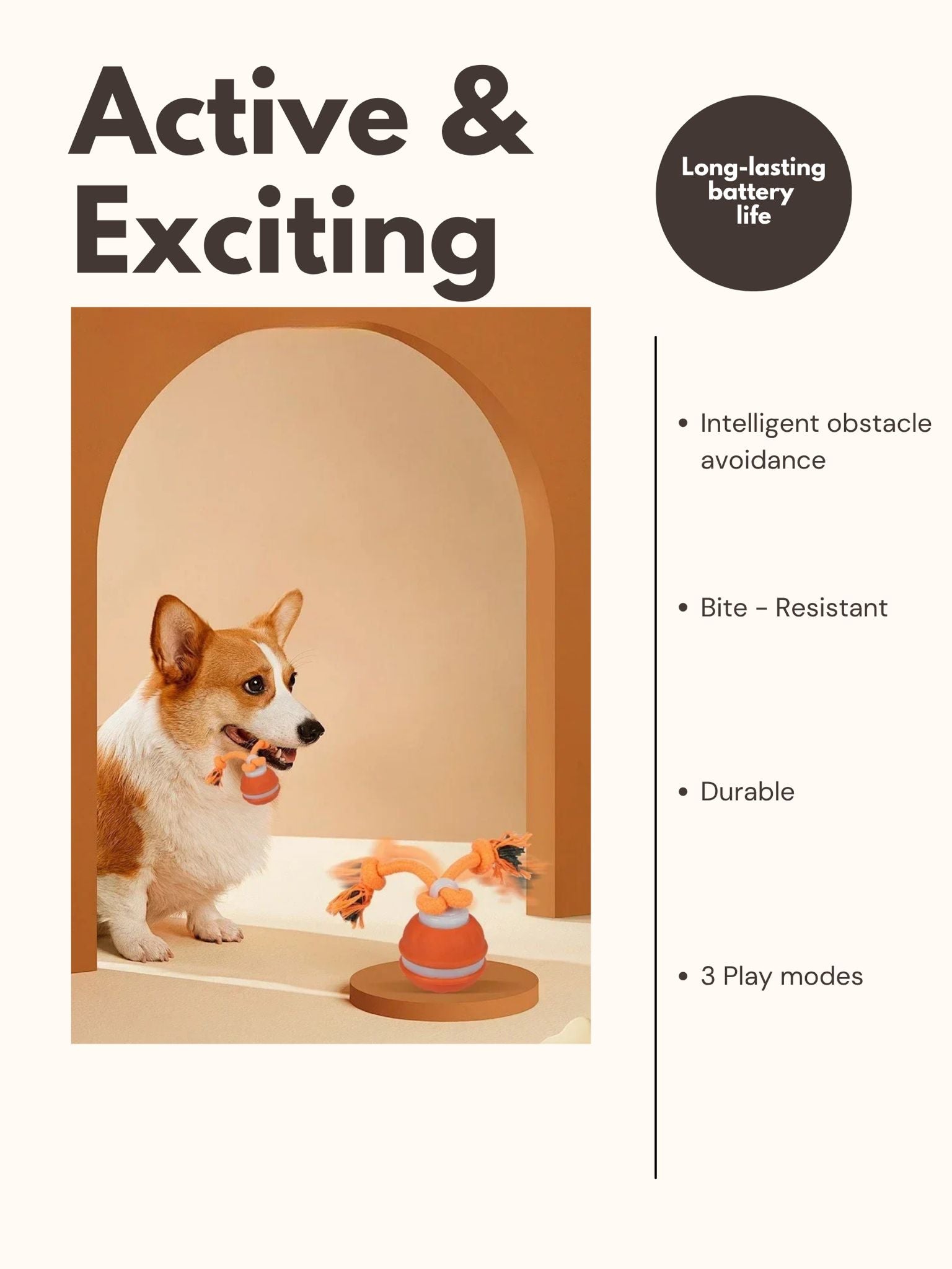 Dog Interactive Motion Activate Rolling Ball