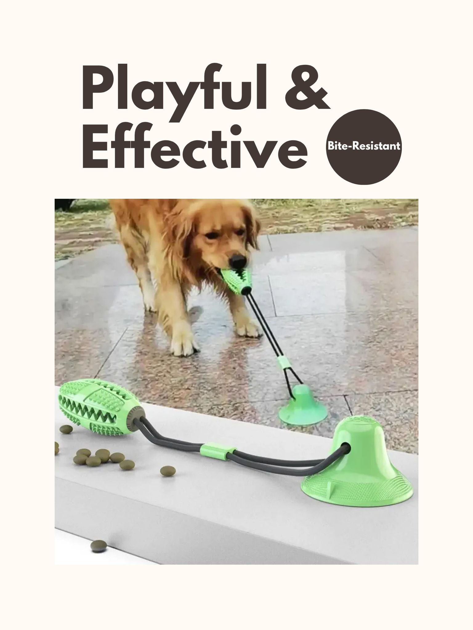 Durable Chew & Treat Dispensing Toy