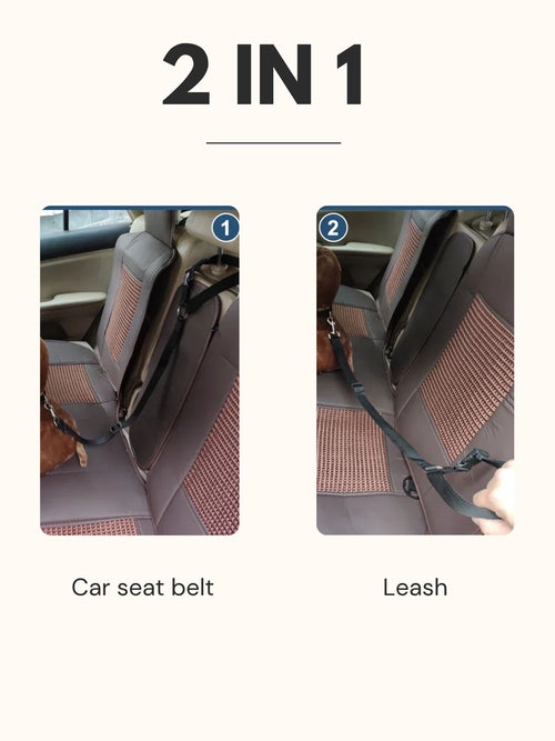 Adjustable Pet Car Backseat Belt & Leash