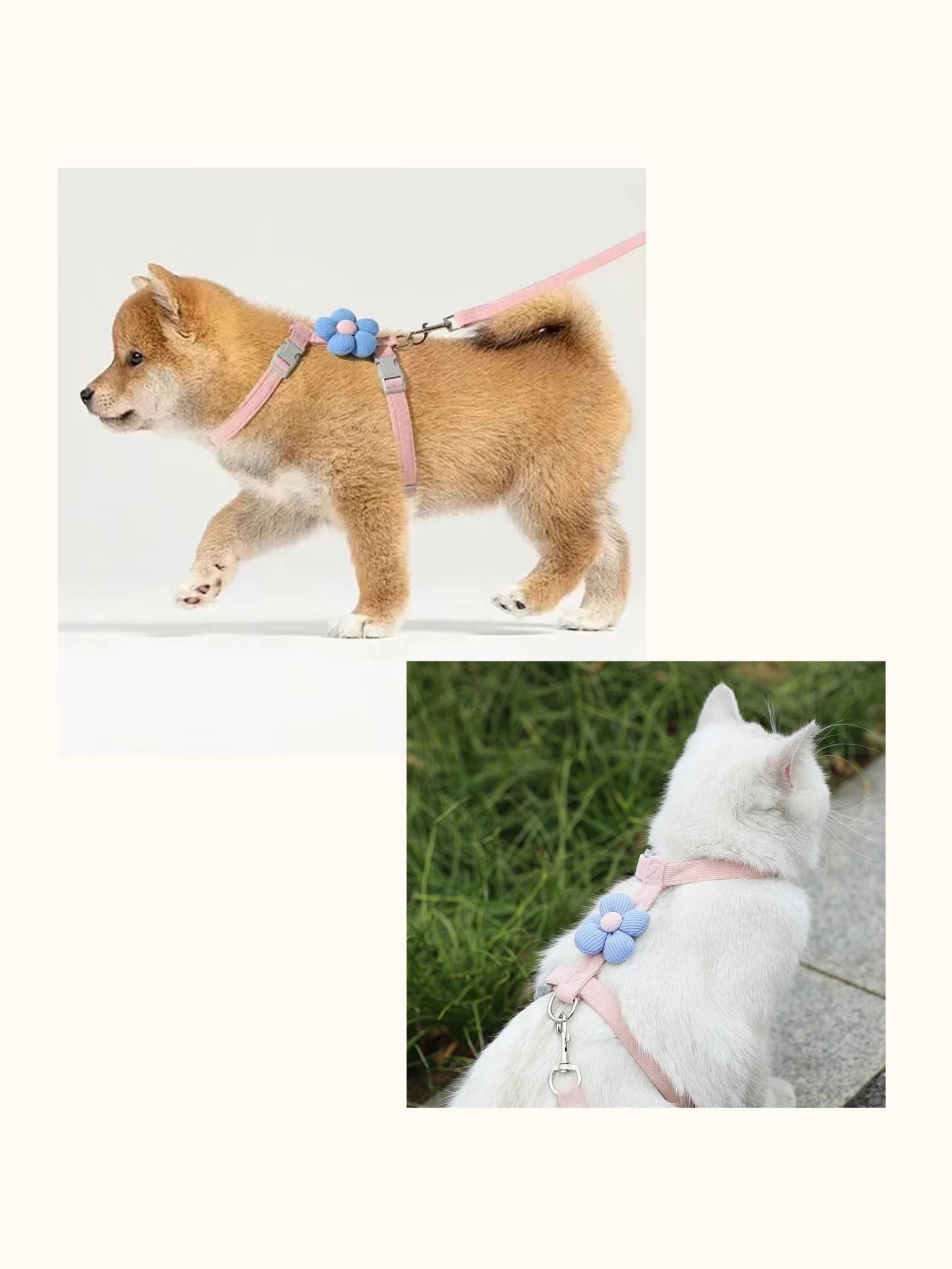 Dog/Cat Adjustable Harness and Leash Set